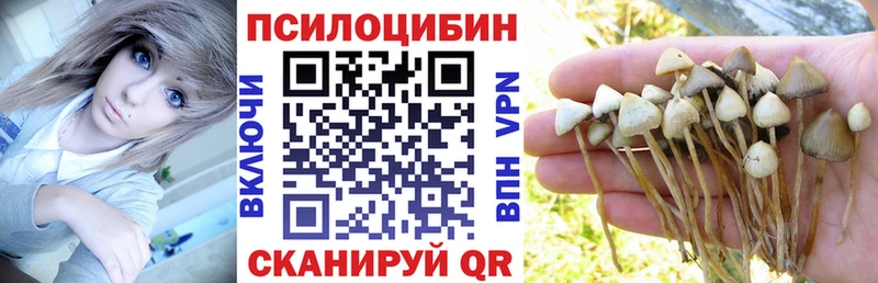 Псилоцибиновые грибы ЛСД  даркнет сайт  Тимашёвск 